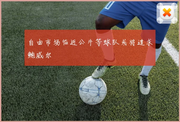 自由市场临近公牛等球队或将追求鲍威尔