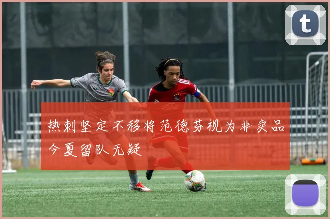 热刺坚定不移将范德芬视为非卖品今夏留队无疑